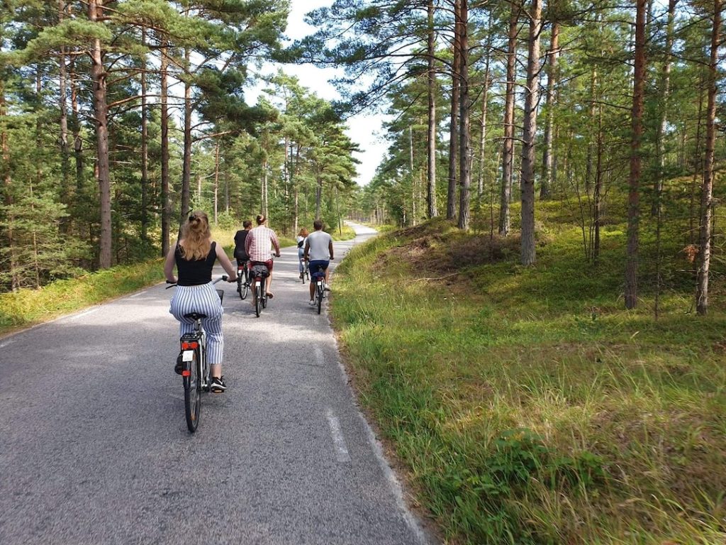 Cykla och paddla på Norra Gotland