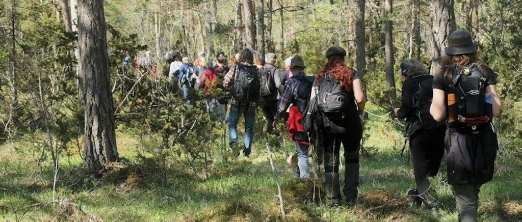 Vandra på Norra Gotland