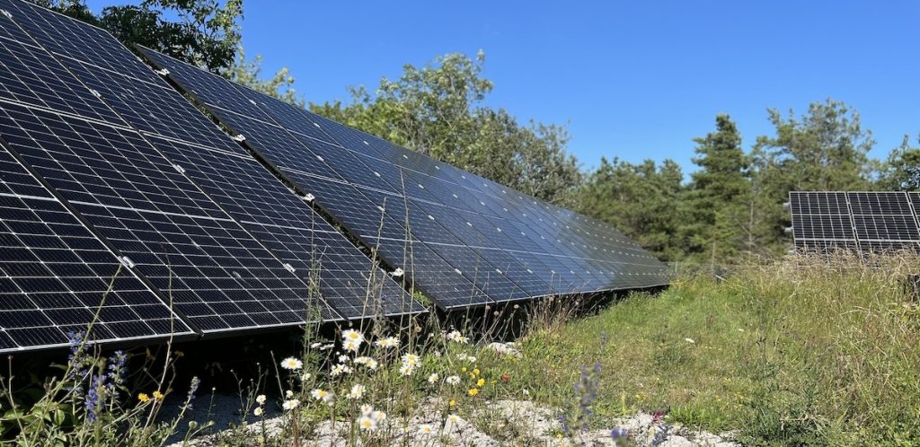 Solceller installerade vid Bunge vandrarhem i Fårösund, Gotland. De ligger i ett naturligt område omgivet av vilda blommor och vegetation under en klar blå himmel.